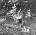 v80572.jpg